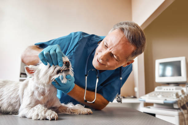 Best Emergency Root Canal Treatment in Pearsall, TX